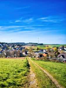 Превью обои тропа, луг, дома, природа, трава