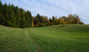 Превью обои тропа, луг, трава, деревья, пейзаж