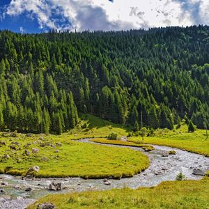 Превью обои тропа, поворот, трава, деревья