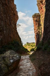 Превью обои тропа, скалы, пальмы, деревья