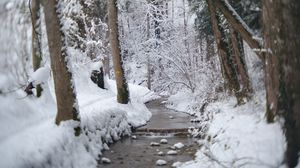 Превью обои тропа, снег, лес, деревья, зима, пейзаж