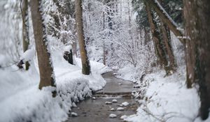 Превью обои тропа, снег, лес, деревья, зима, пейзаж