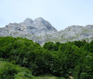 Превью обои тропа, трава, деревья, горы, пейзаж