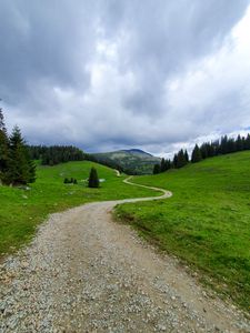 Превью обои тропинка, гора, трава, деревья, даль