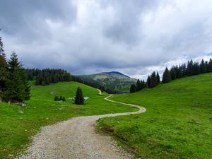 Превью обои тропинка, гора, трава, деревья, даль