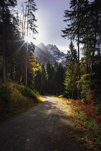 Превью обои тропинка, горы, лучи, деревья, солнце