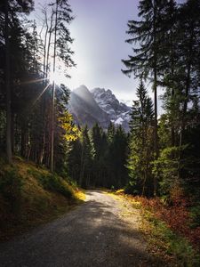 Превью обои тропинка, горы, лучи, деревья, солнце