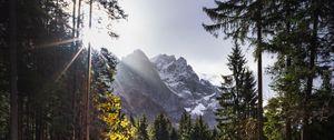 Превью обои тропинка, горы, лучи, деревья, солнце