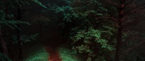 Превью обои тропинка, лес, деревья, трава