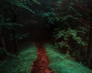 Превью обои тропинка, лес, деревья, трава