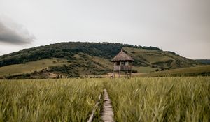 Превью обои тропинка, здание, трава, даль, холм