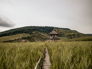 Превью обои тропинка, здание, трава, даль, холм