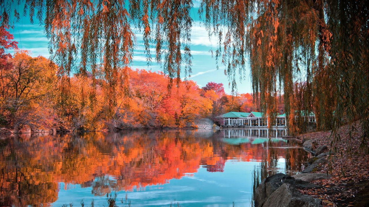 Обои центральный парк, нью-йорк, осень, красивый пейзаж