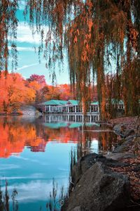 Превью обои центральный парк, нью-йорк, осень, красивый пейзаж