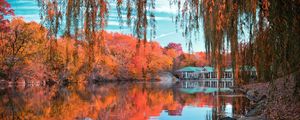 Превью обои центральный парк, нью-йорк, осень, красивый пейзаж