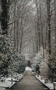 Превью обои церковь, деревья, зима, тропинка, снегопад