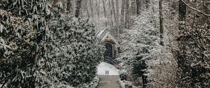 Превью обои церковь, деревья, зима, тропинка, снегопад