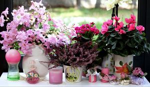 Превью обои цикламен, вереск, каланхоэ, орхидея, цветы, вазы, свечи, окно