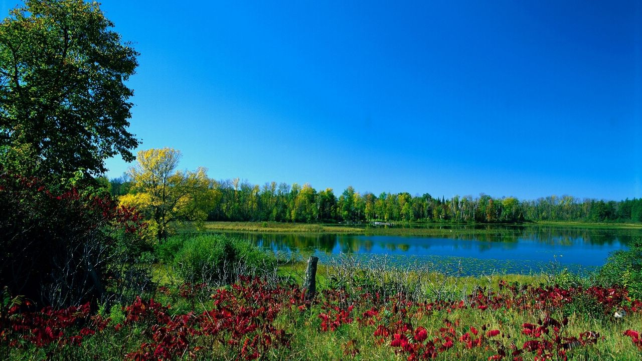 Обои цвета, краски, ранняя осень, деревья, озеро, зелень