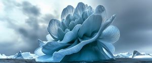 Превью обои цветок, айсберг, море, синий