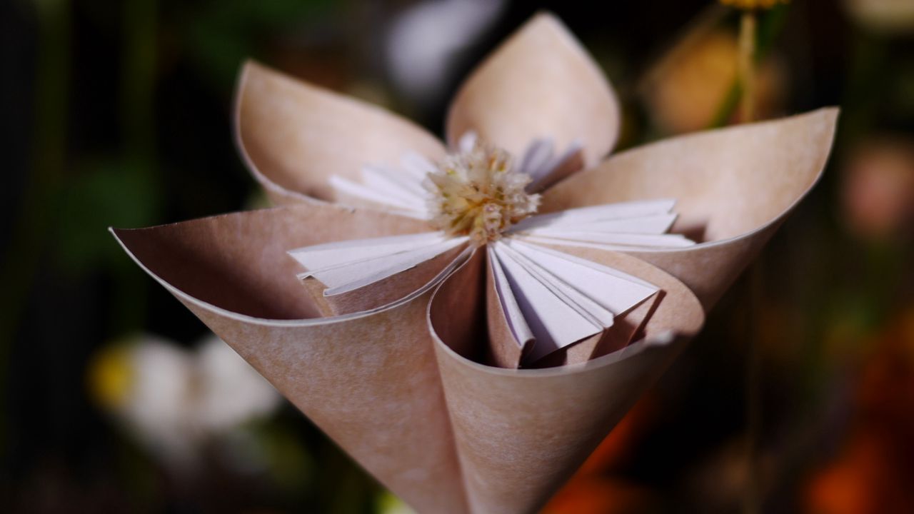 Обои цветок, бумажный, искусственный, лепестки