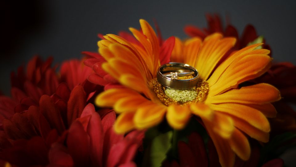 960x544 Обои цветок, лепестки, обручальные кольца, свадьба