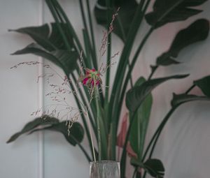 Превью обои цветок, листья, ветки, букет, ваза