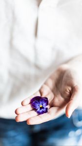 Превью обои цветок, рука, ладонь, фиолетовый, пальцы