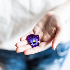 Превью обои цветок, рука, ладонь, фиолетовый, пальцы