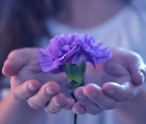 Превью обои цветок, руки, растение, лепестки