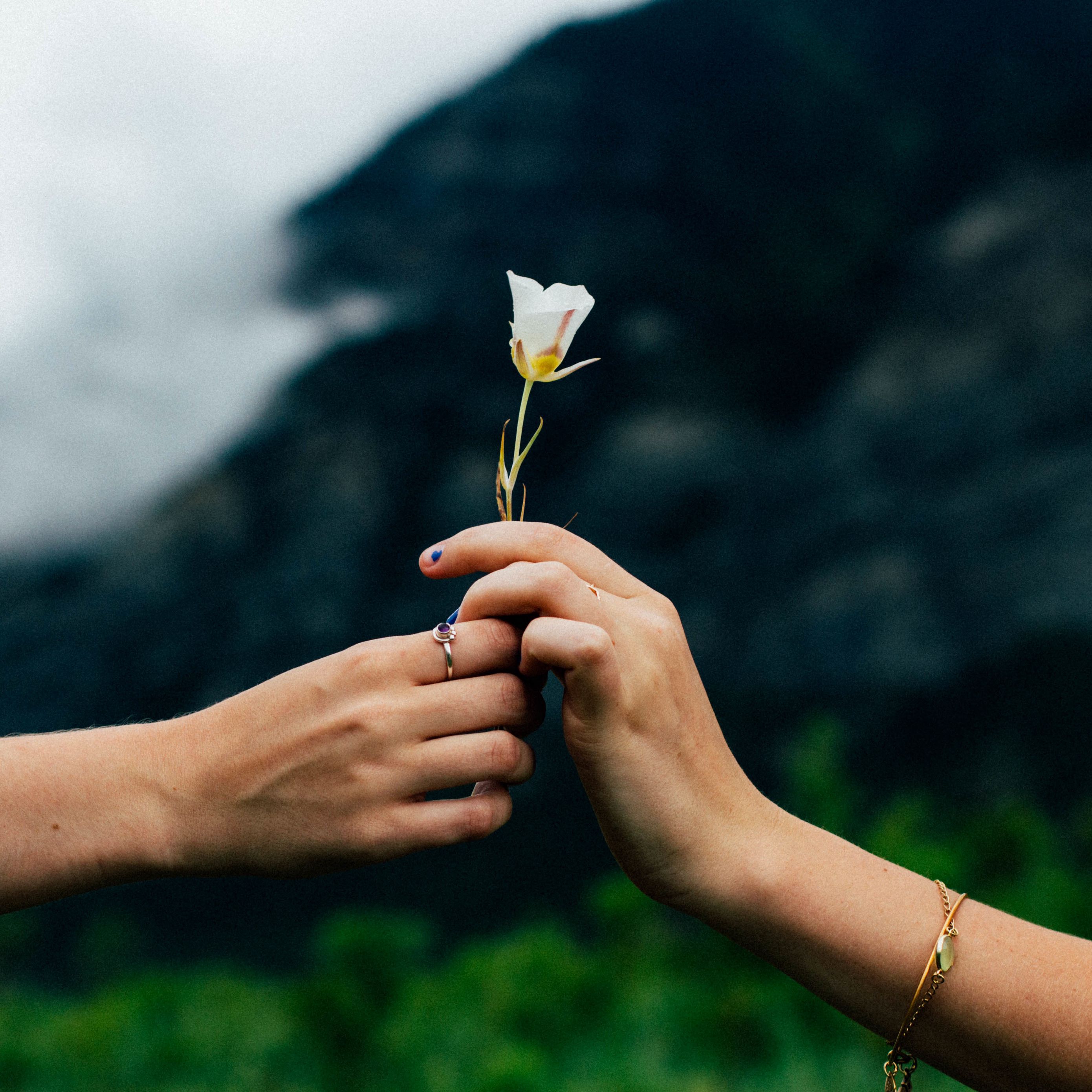 Счастье в прощении. Любовь к природе. Простота жизни. Рука держит цветок. Цветок на руку..