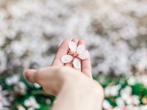 Превью обои цветок, весна, цветение, рука