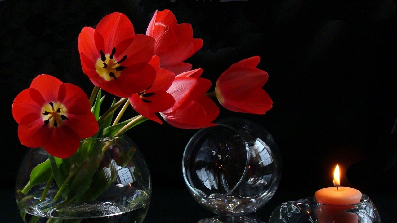 Обои цветы, бокалы, свеча