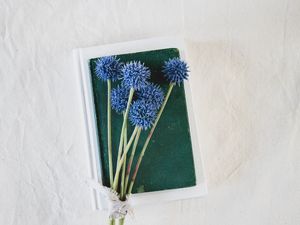 Превью обои цветы, букет, книга