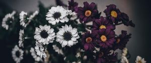 Превью обои цветы, букет, композиция