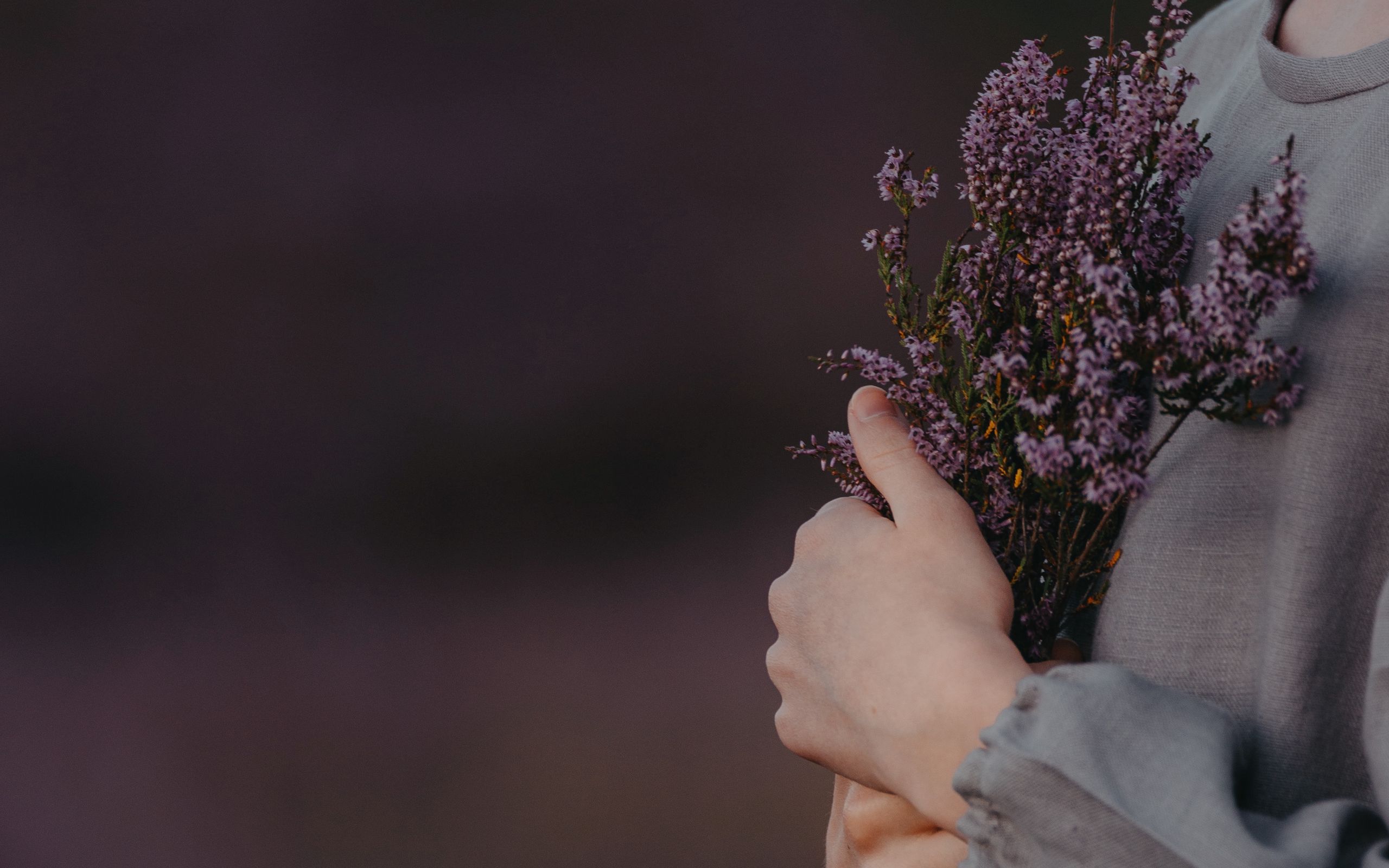 Лаванда Lavender aesthetic