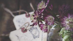 Превью обои цветы, букет, лепестки, композиция