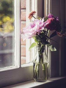 Превью обои цветы, букет, окно, ваза