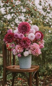 Превью обои цветы, букет, розовый, композиция, горшок, стул