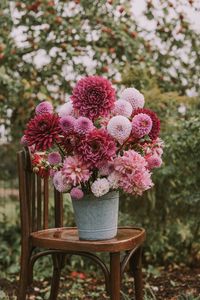 Превью обои цветы, букет, розовый, композиция, горшок, стул