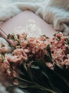 Превью обои цветы, букет, розовый, книга, плед