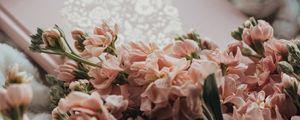 Превью обои цветы, букет, розовый, книга, плед