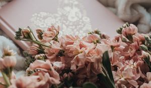 Превью обои цветы, букет, розовый, книга, плед