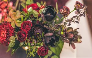 Превью обои цветы, букет, розы, тюльпаны, красный, черный