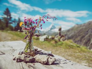 Превью обои цветы, букет, ваза, камни, природа