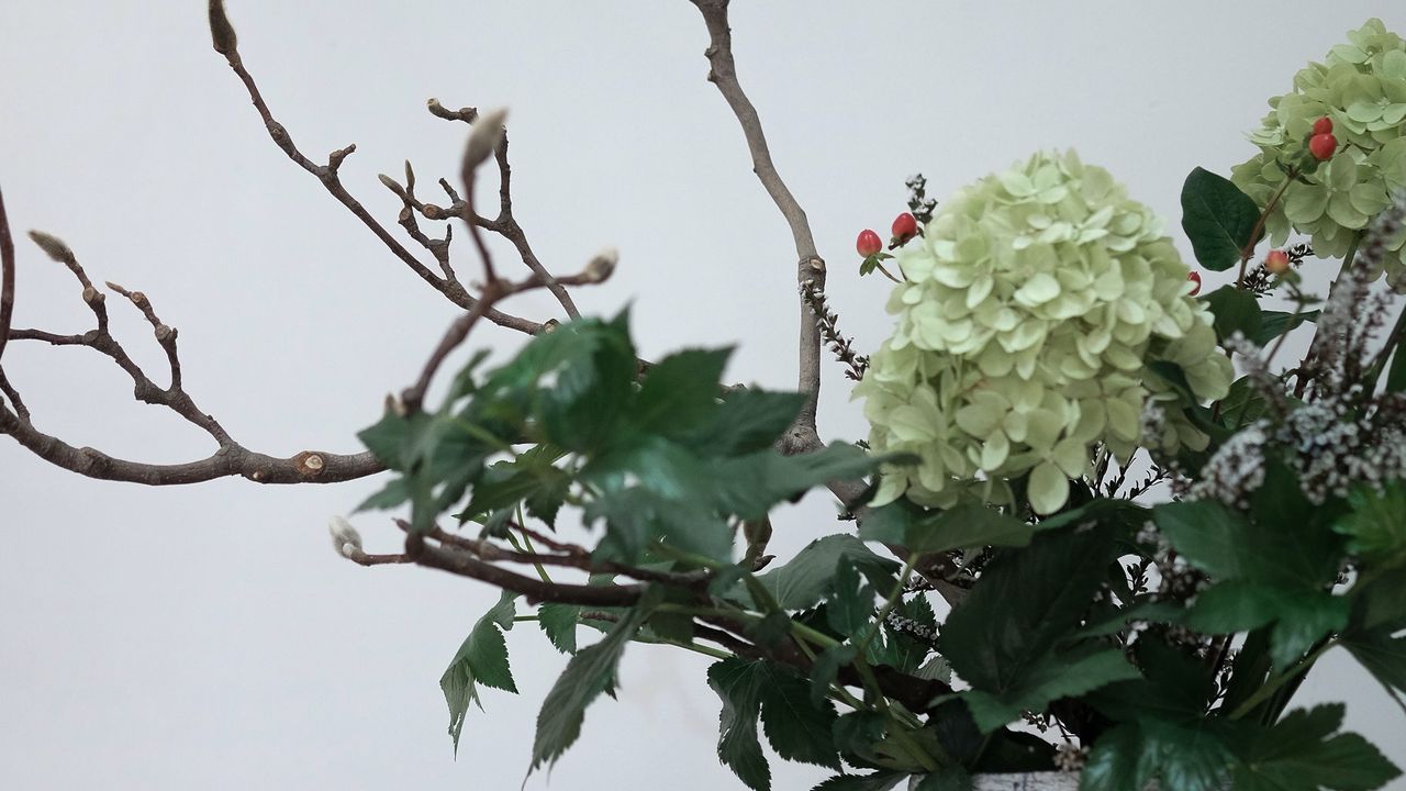 Обои цветы, букет, ваза, эстетика, композиция