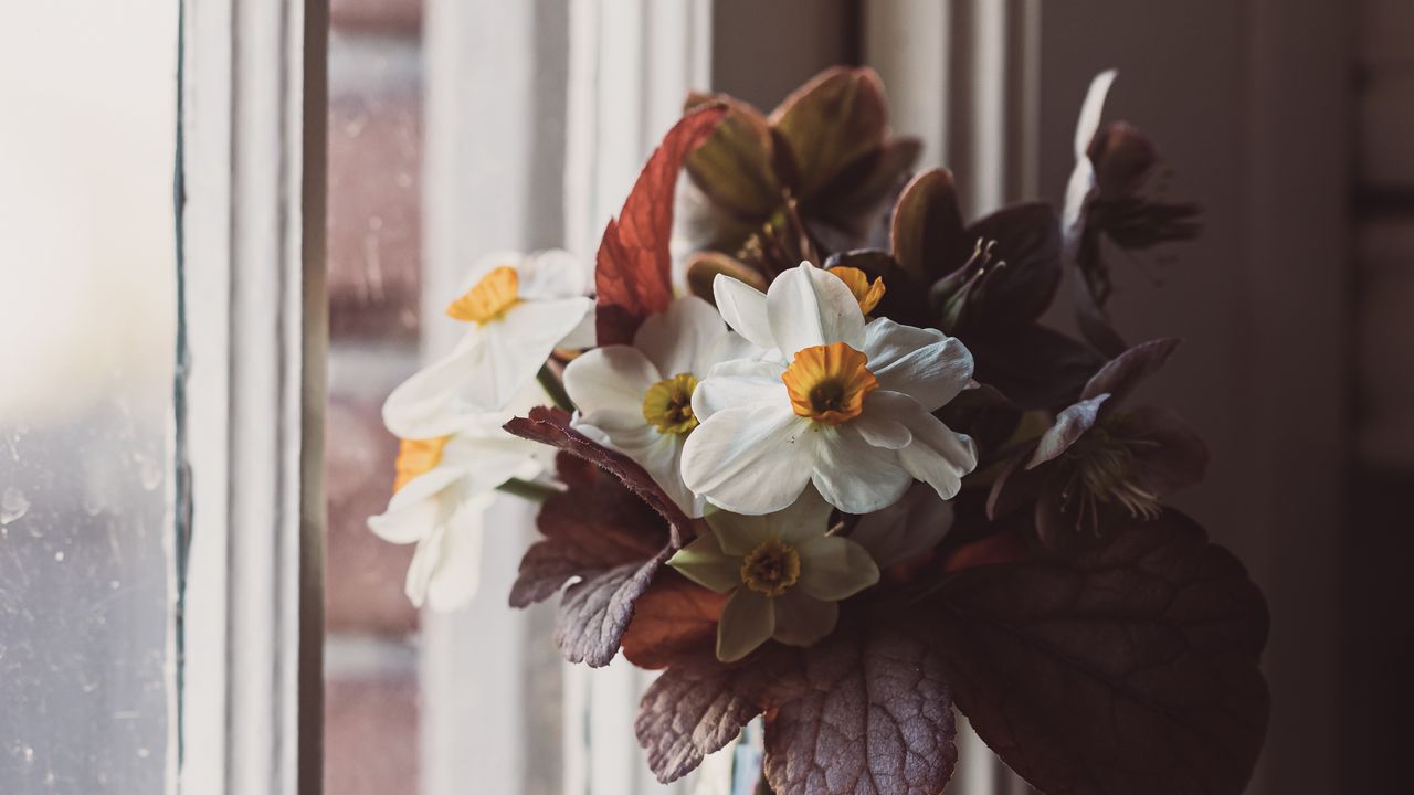 Обои цветы, букет, ваза, окно