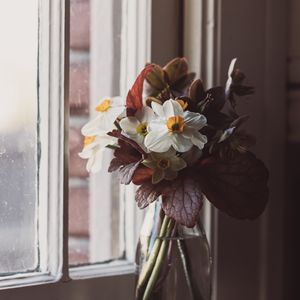 Превью обои цветы, букет, ваза, окно