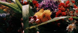 Превью обои цветы, букет, замок, размытие