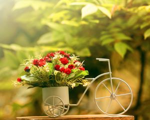 Превью обои цветы, емкость, велосипед, резкость
